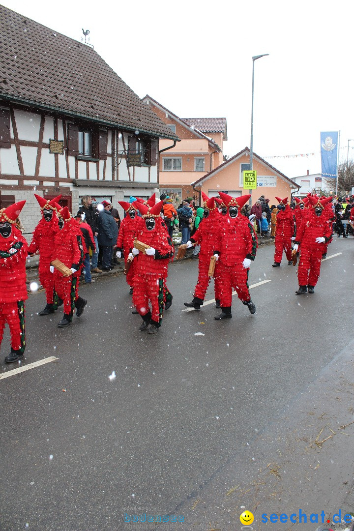 Fasnacht: Umzug und Party: Mimmenhausen am Bodensee, 01.02.2015