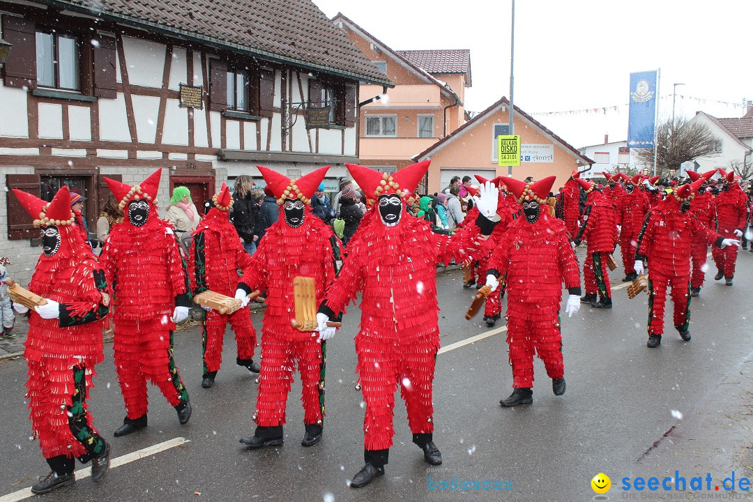 Fasnacht: Umzug und Party: Mimmenhausen am Bodensee, 01.02.2015