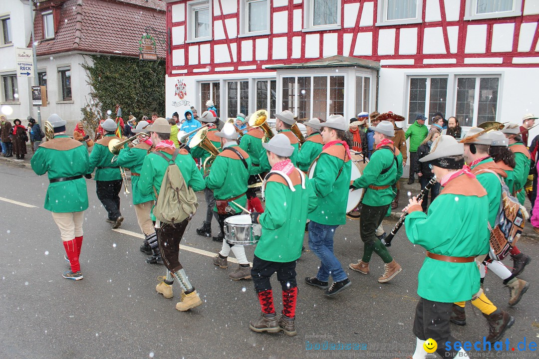 Fasnacht: Umzug und Party: Mimmenhausen am Bodensee, 01.02.2015