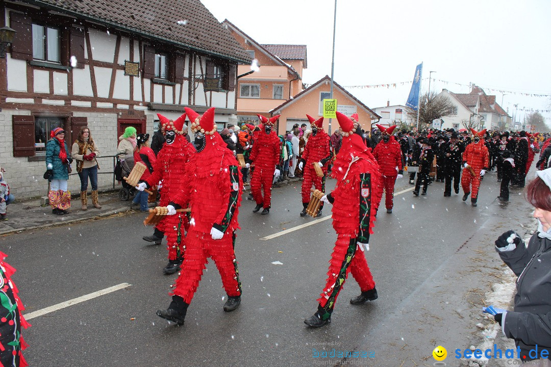 Fasnacht: Umzug und Party: Mimmenhausen am Bodensee, 01.02.2015