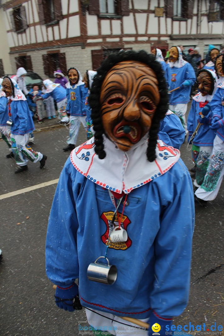 Fasnacht: Umzug und Party: Mimmenhausen am Bodensee, 01.02.2015