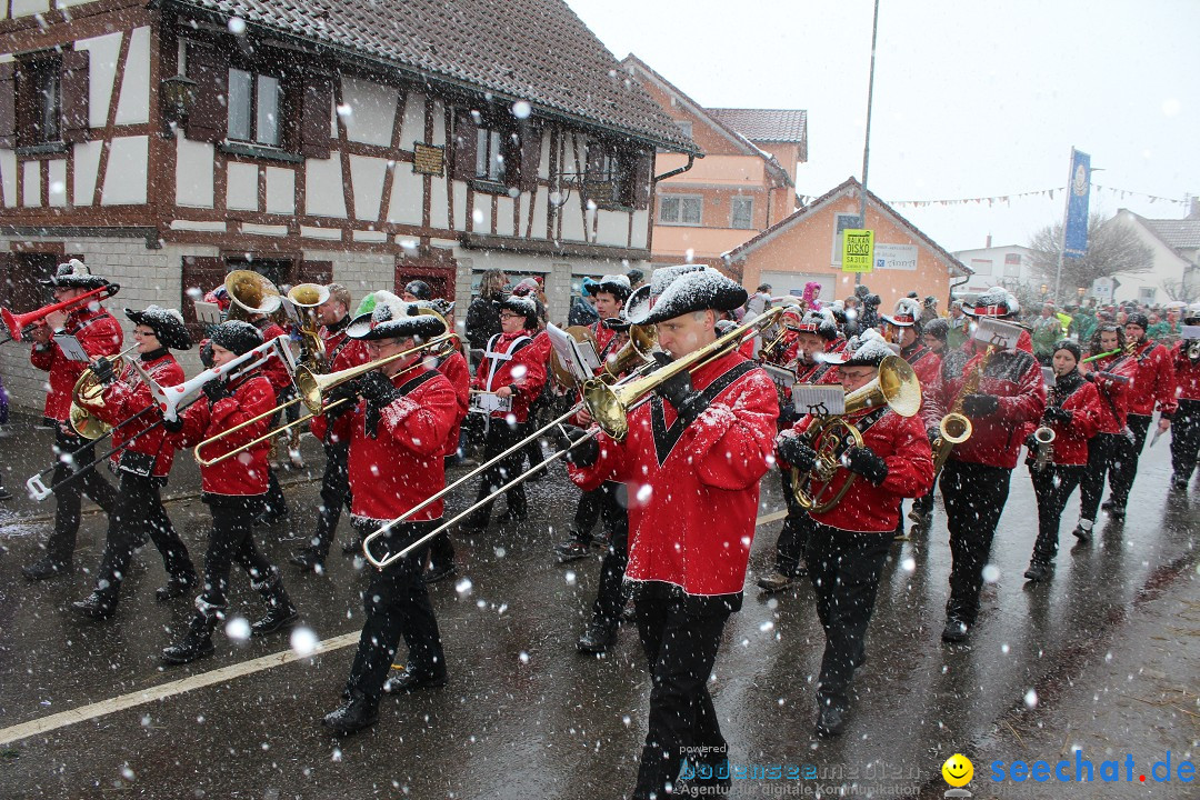 Fasnacht: Umzug und Party: Mimmenhausen am Bodensee, 01.02.2015