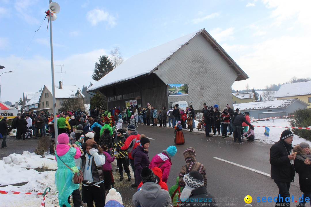 Fasnachtsumzug: Lengenwil - Schweiz, 08.02.2015