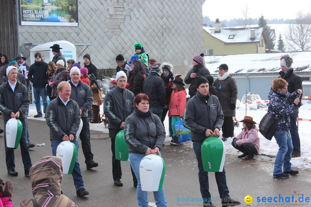 Fasnachtsumzug: Lengenwil - Schweiz, 08.02.2015