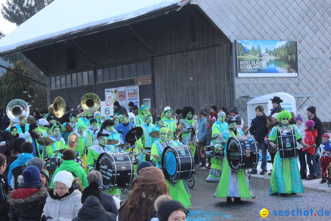 Fasnachtsumzug: Lengenwil - Schweiz, 08.02.2015