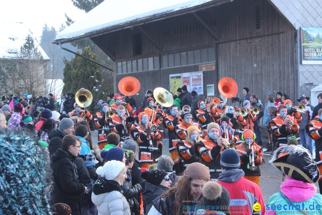 Fasnachtsumzug: Lengenwil - Schweiz, 08.02.2015