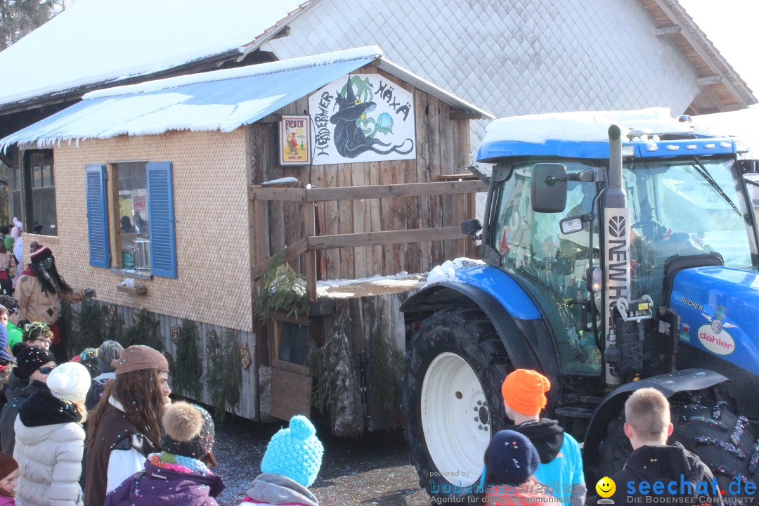 Fasnachtsumzug: Lengenwil - Schweiz, 08.02.2015