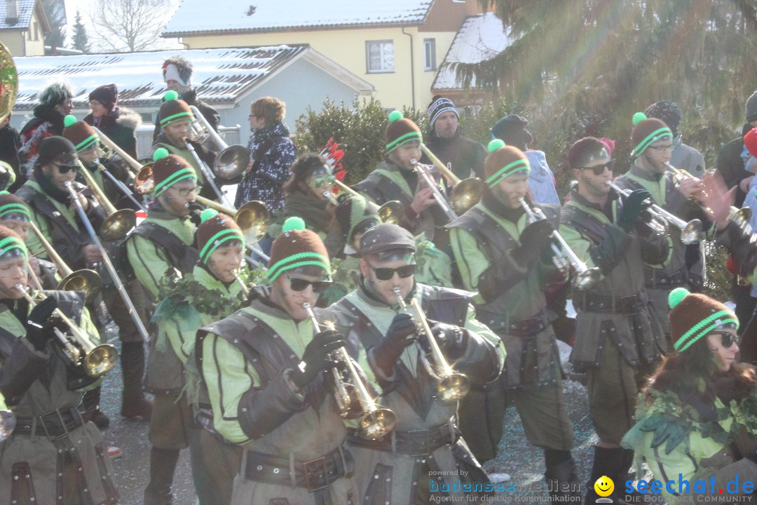 Fasnachtsumzug: Lengenwil - Schweiz, 08.02.2015