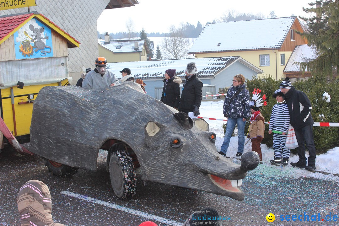 Fasnachtsumzug: Lengenwil - Schweiz, 08.02.2015