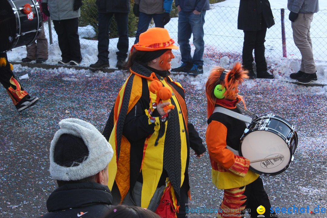 Fasnachtsumzug: Lengenwil - Schweiz, 08.02.2015