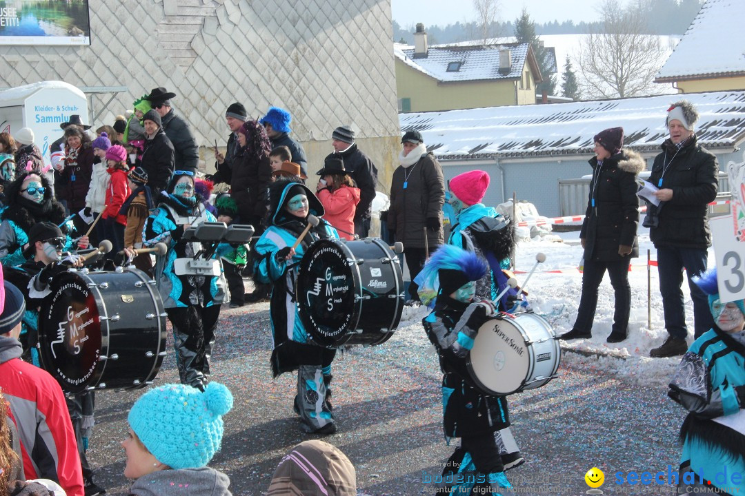 Fasnachtsumzug: Lengenwil - Schweiz, 08.02.2015