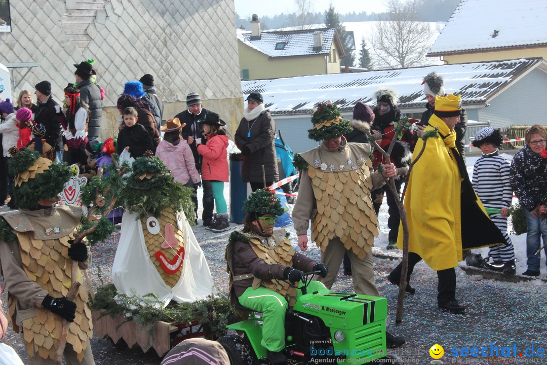 Fasnachtsumzug: Lengenwil - Schweiz, 08.02.2015