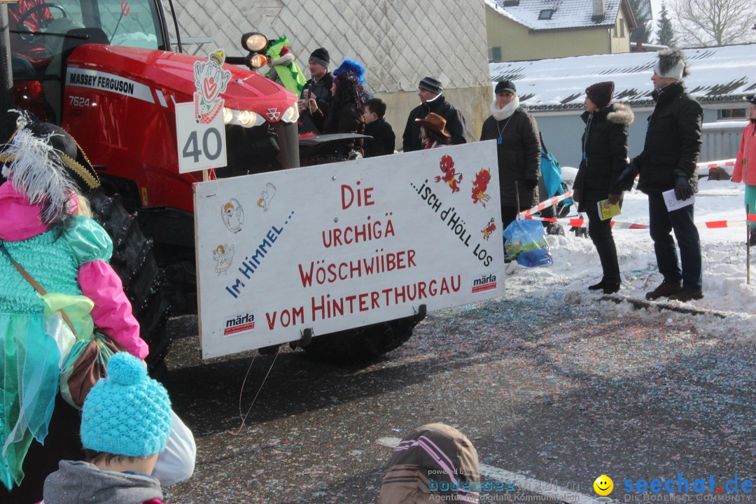 Fasnachtsumzug: Lengenwil - Schweiz, 08.02.2015