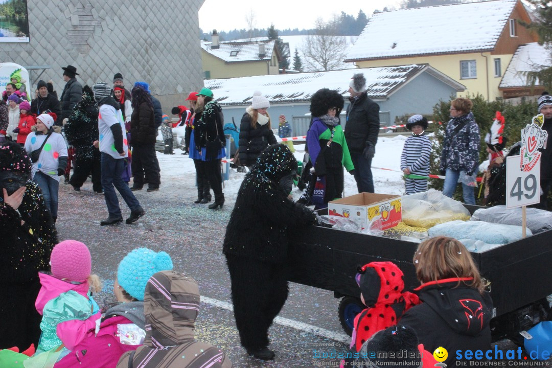 Fasnachtsumzug: Lengenwil - Schweiz, 08.02.2015