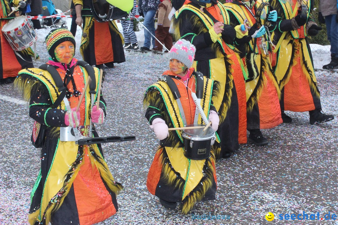 Fasnachtsumzug: Lengenwil - Schweiz, 08.02.2015