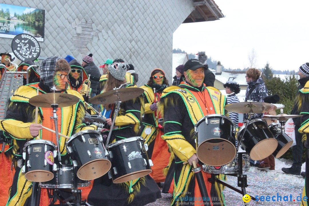 Fasnachtsumzug: Lengenwil - Schweiz, 08.02.2015