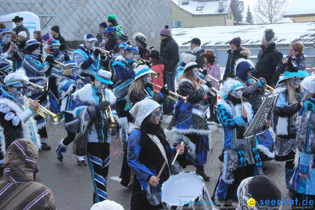 Fasnachtsumzug: Lengenwil - Schweiz, 08.02.2015