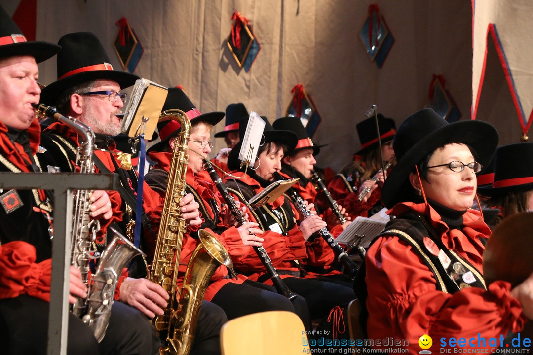 Narrengericht-Stockach-130215-Bodensee-Community-SEECHAT_DE-_223_.jpg