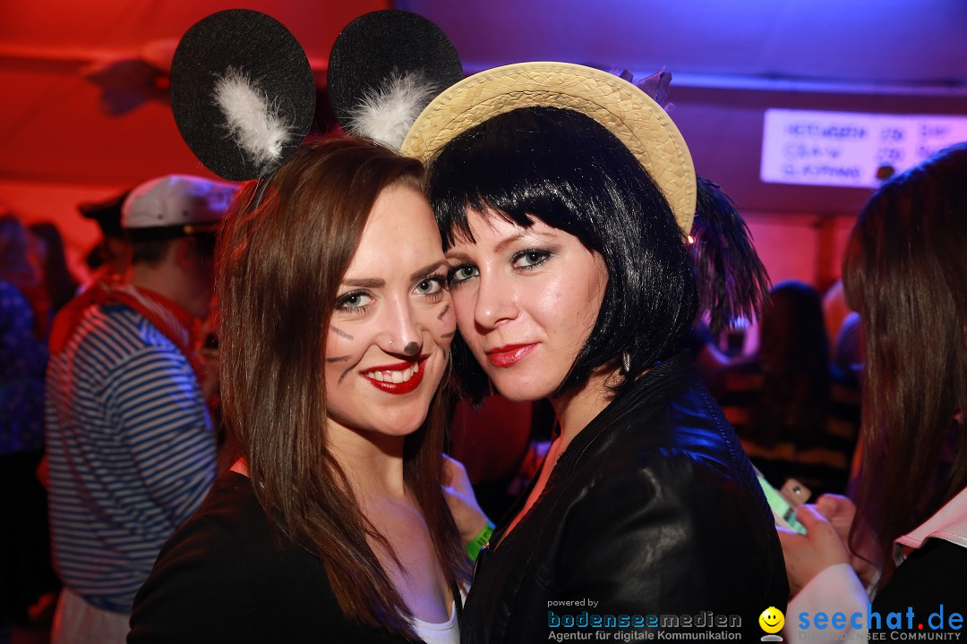 STIERBALL 2015 mit Party-Band HEAVEN: Wahlwies am Bodensee, 13.02.2015