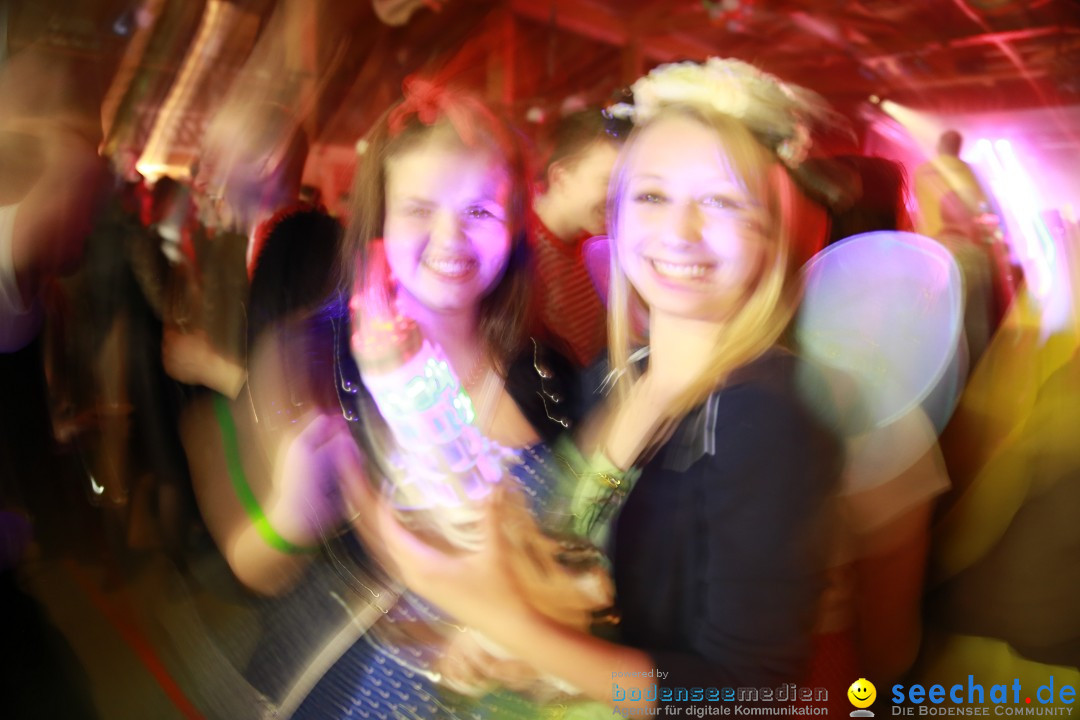 STIERBALL 2015 mit Party-Band HEAVEN: Wahlwies am Bodensee, 13.02.2015