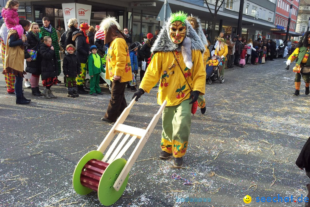 Fasnetsumzug mit Poppele Zunft: Singen am Bodensee, 14.02.2015