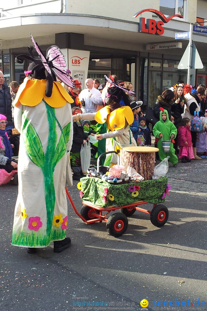 Fasnetsumzug mit Poppele Zunft: Singen am Bodensee, 14.02.2015