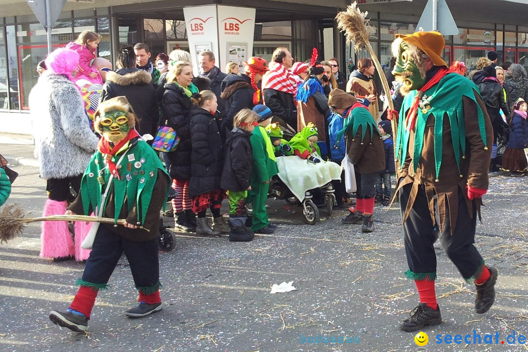 Fasnetsumzug mit Poppele Zunft: Singen am Bodensee, 14.02.2015