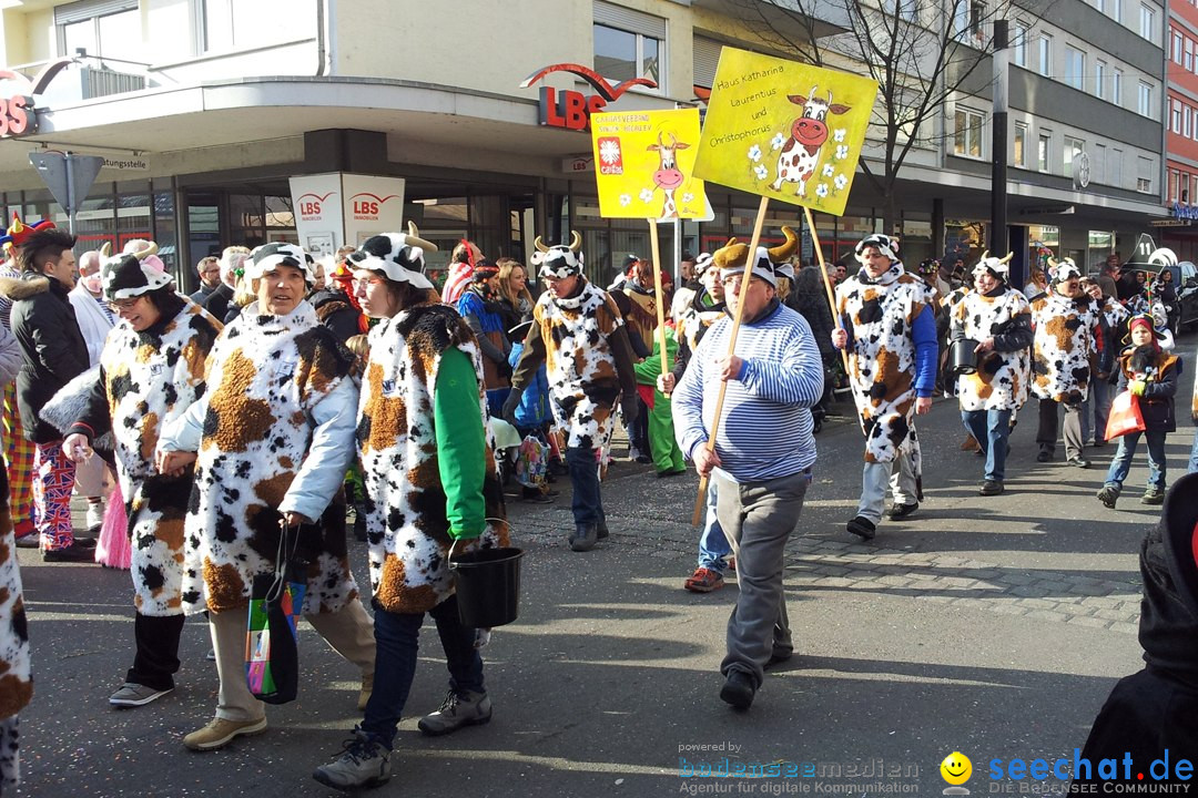 Fasnetsumzug mit Poppele Zunft: Singen am Bodensee, 14.02.2015