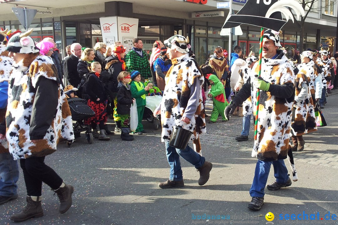 Fasnetsumzug mit Poppele Zunft: Singen am Bodensee, 14.02.2015