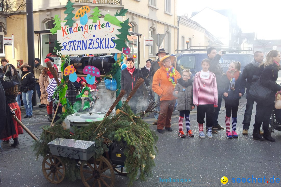 Fasnetsumzug mit Poppele Zunft: Singen am Bodensee, 14.02.2015