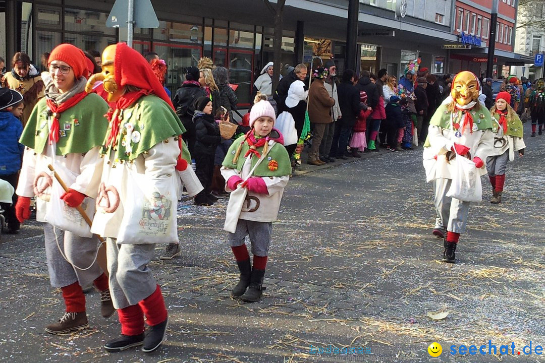 Fasnetsumzug mit Poppele Zunft: Singen am Bodensee, 14.02.2015