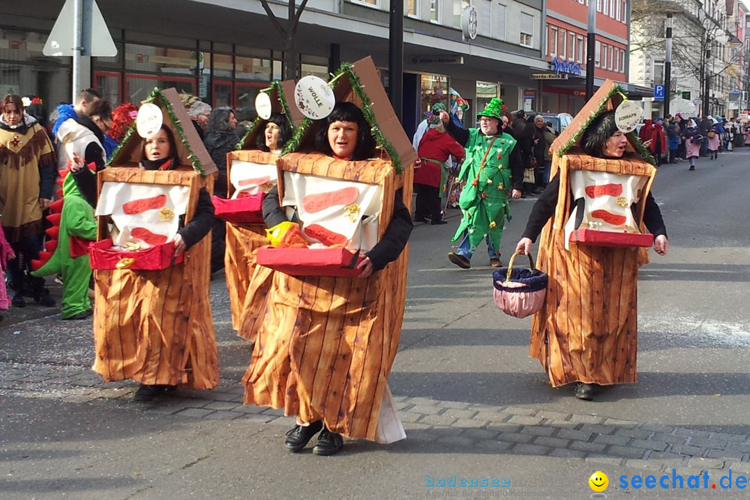 Fasnetsumzug mit Poppele Zunft: Singen am Bodensee, 14.02.2015