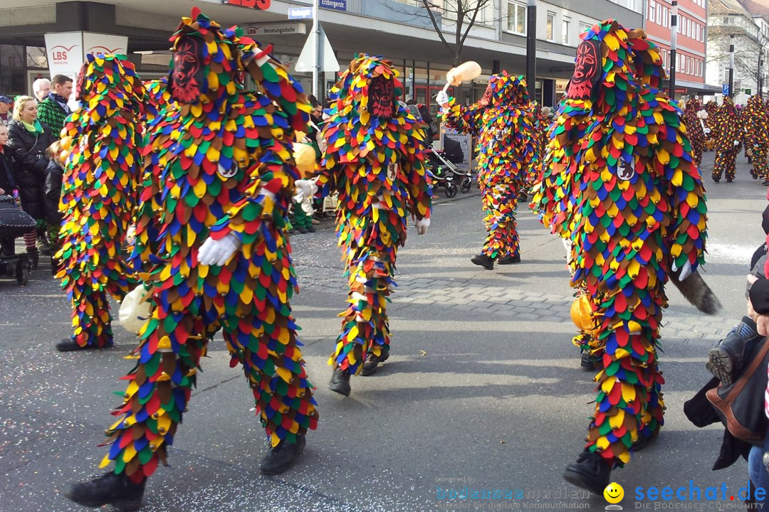 Fasnetsumzug mit Poppele Zunft: Singen am Bodensee, 14.02.2015