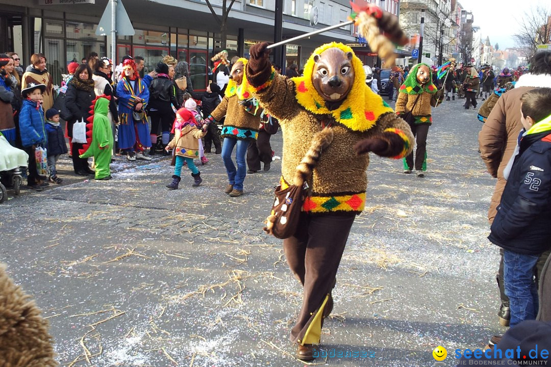 Fasnetsumzug mit Poppele Zunft: Singen am Bodensee, 14.02.2015