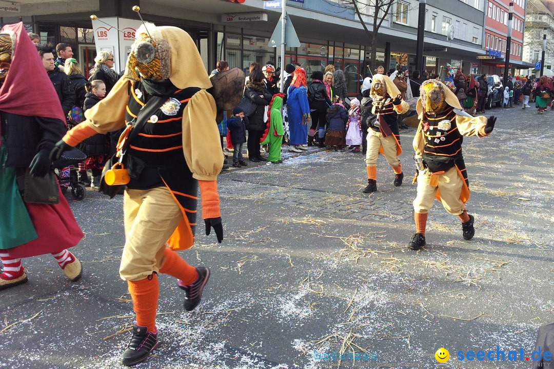 Fasnetsumzug mit Poppele Zunft: Singen am Bodensee, 14.02.2015