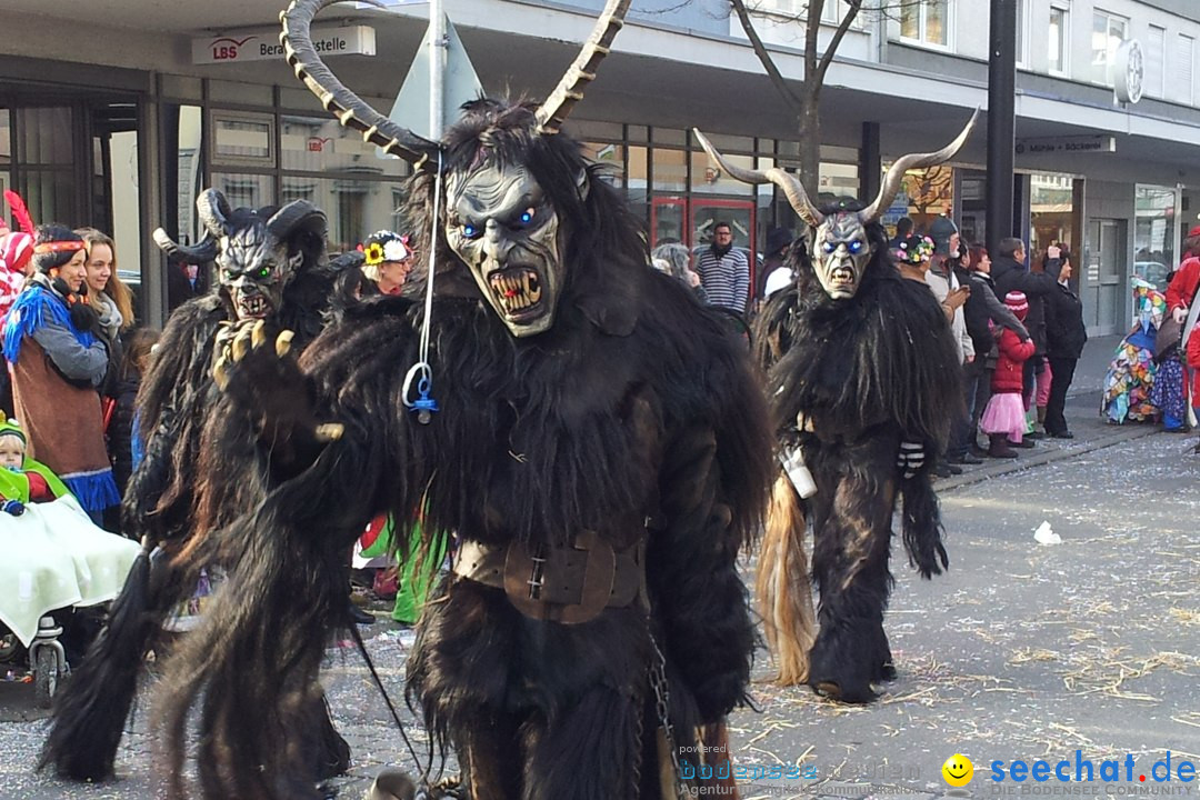 Fasnetsumzug mit Poppele Zunft: Singen am Bodensee, 14.02.2015