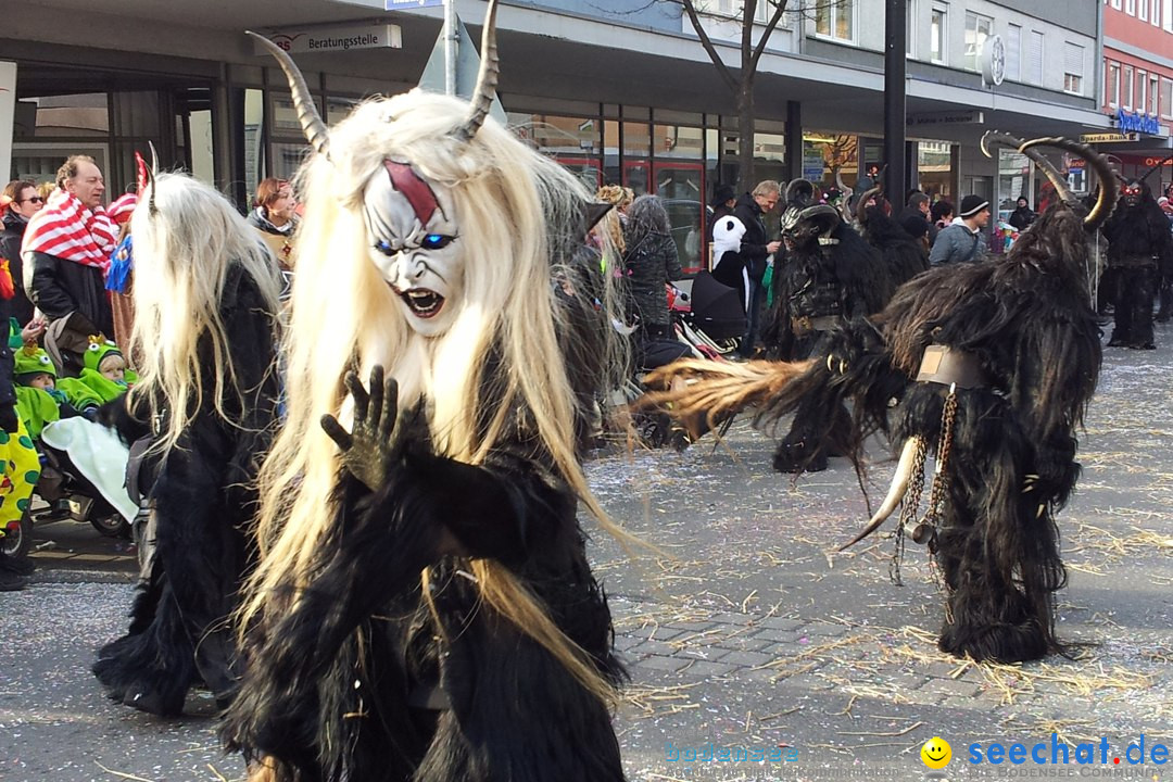 Fasnetsumzug mit Poppele Zunft: Singen am Bodensee, 14.02.2015