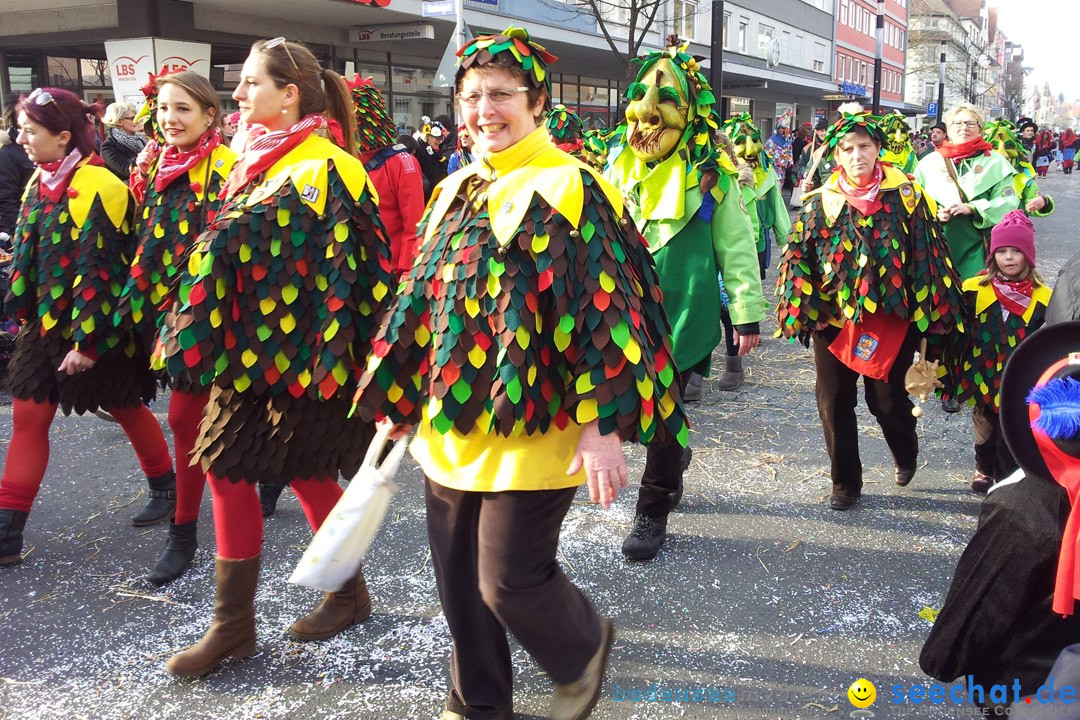 Fasnetsumzug mit Poppele Zunft: Singen am Bodensee, 14.02.2015