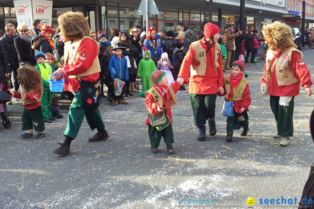 Fasnetsumzug mit Poppele Zunft: Singen am Bodensee, 14.02.2015