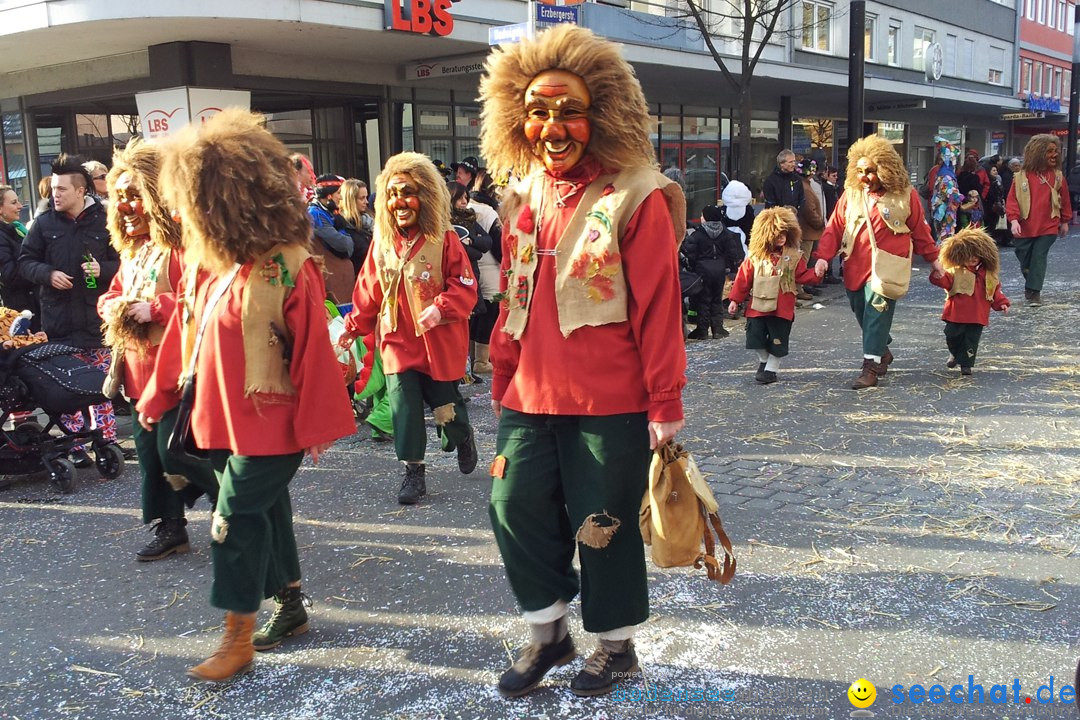 Fasnetsumzug mit Poppele Zunft: Singen am Bodensee, 14.02.2015