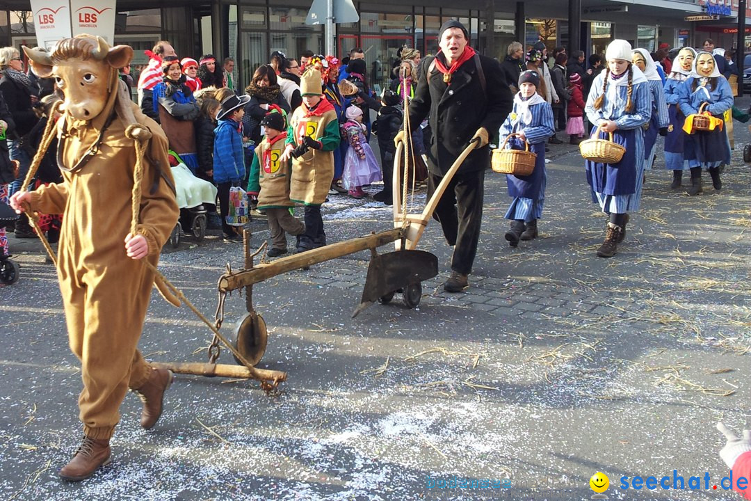 Fasnetsumzug mit Poppele Zunft: Singen am Bodensee, 14.02.2015