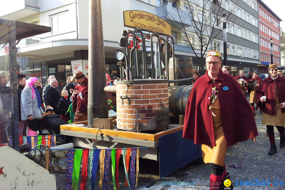 Fasnetsumzug mit Poppele Zunft: Singen am Bodensee, 14.02.2015