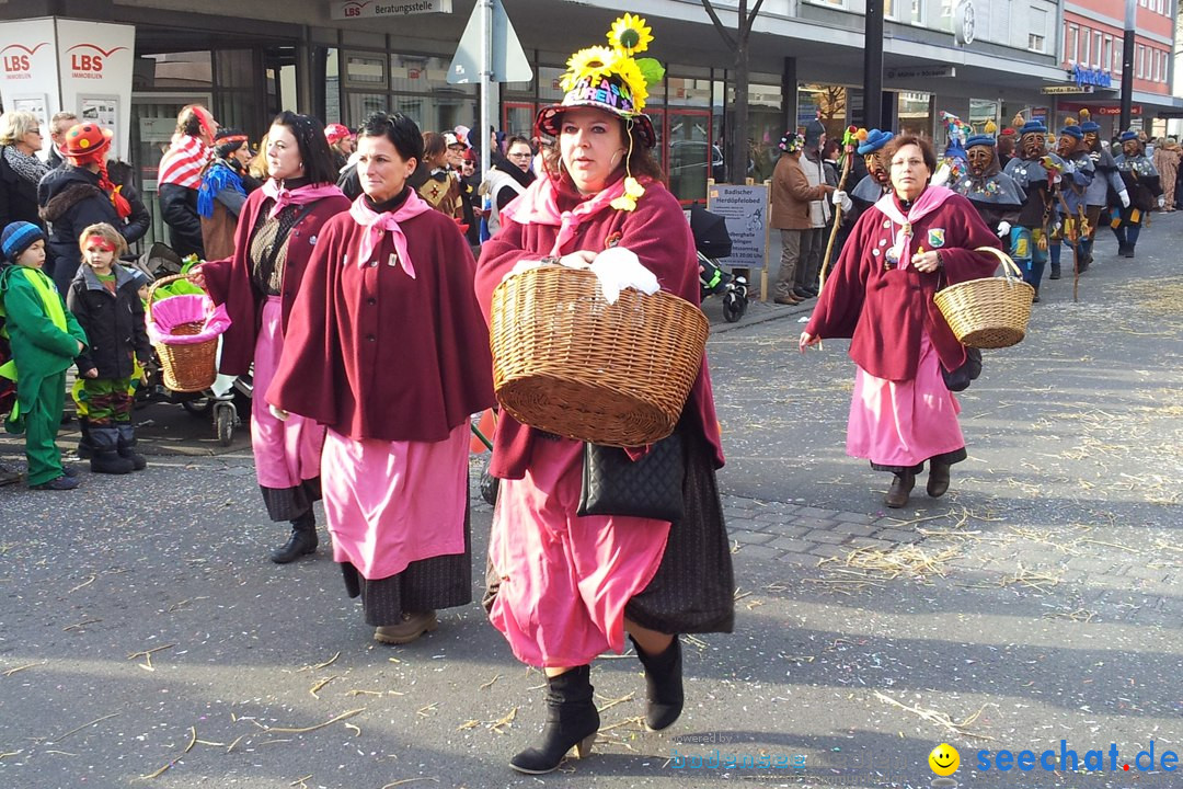 Fasnetsumzug mit Poppele Zunft: Singen am Bodensee, 14.02.2015