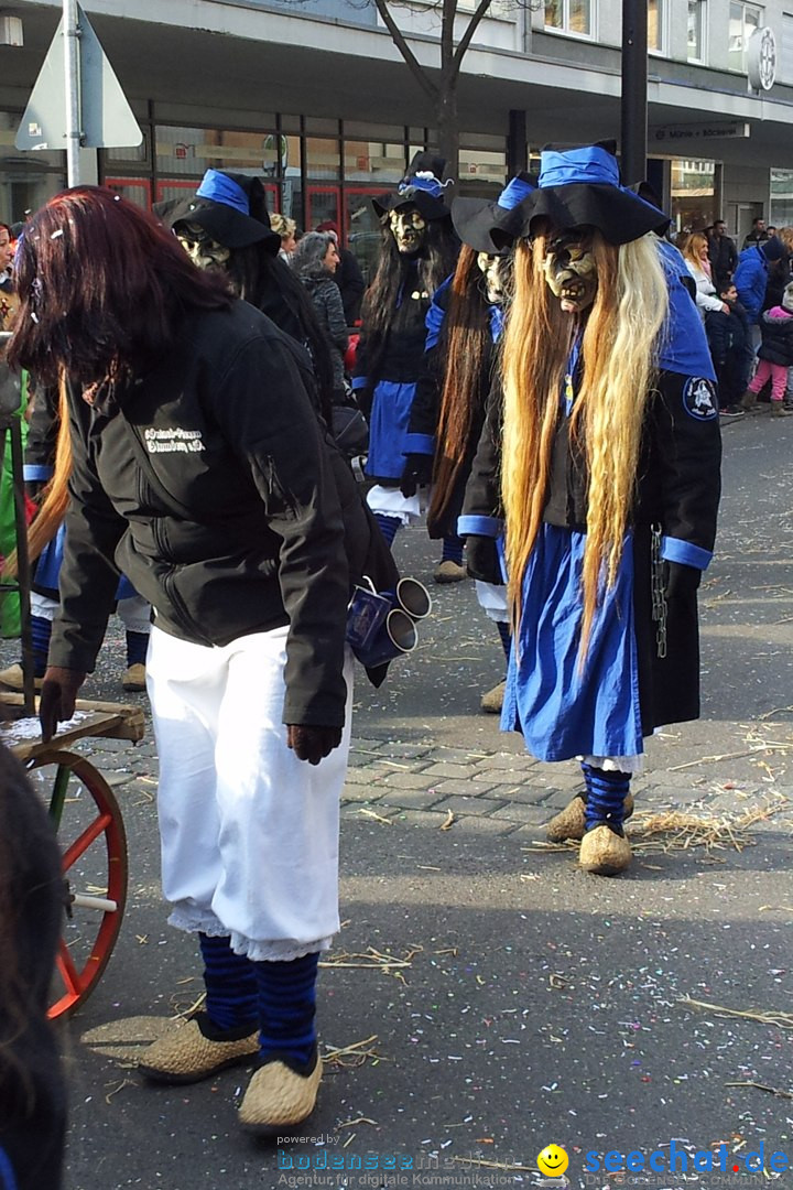 Fasnetsumzug mit Poppele Zunft: Singen am Bodensee, 14.02.2015