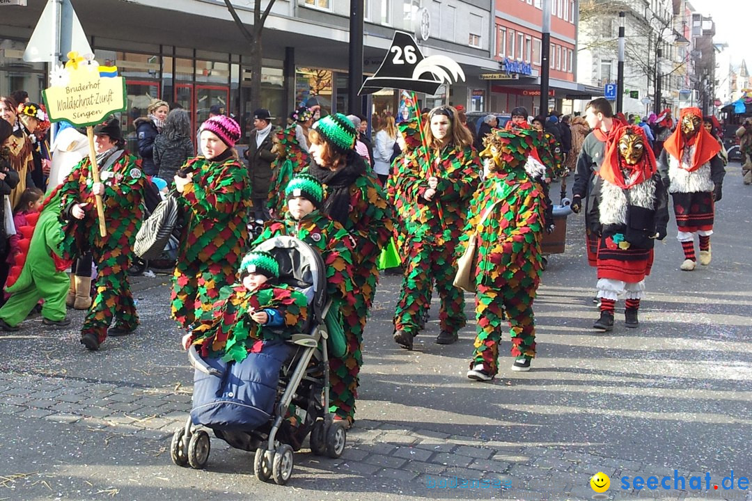 Fasnetsumzug mit Poppele Zunft: Singen am Bodensee, 14.02.2015