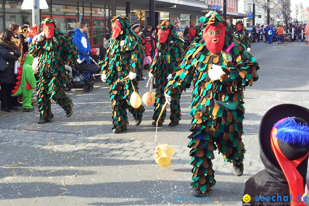 Fasnetsumzug mit Poppele Zunft: Singen am Bodensee, 14.02.2015