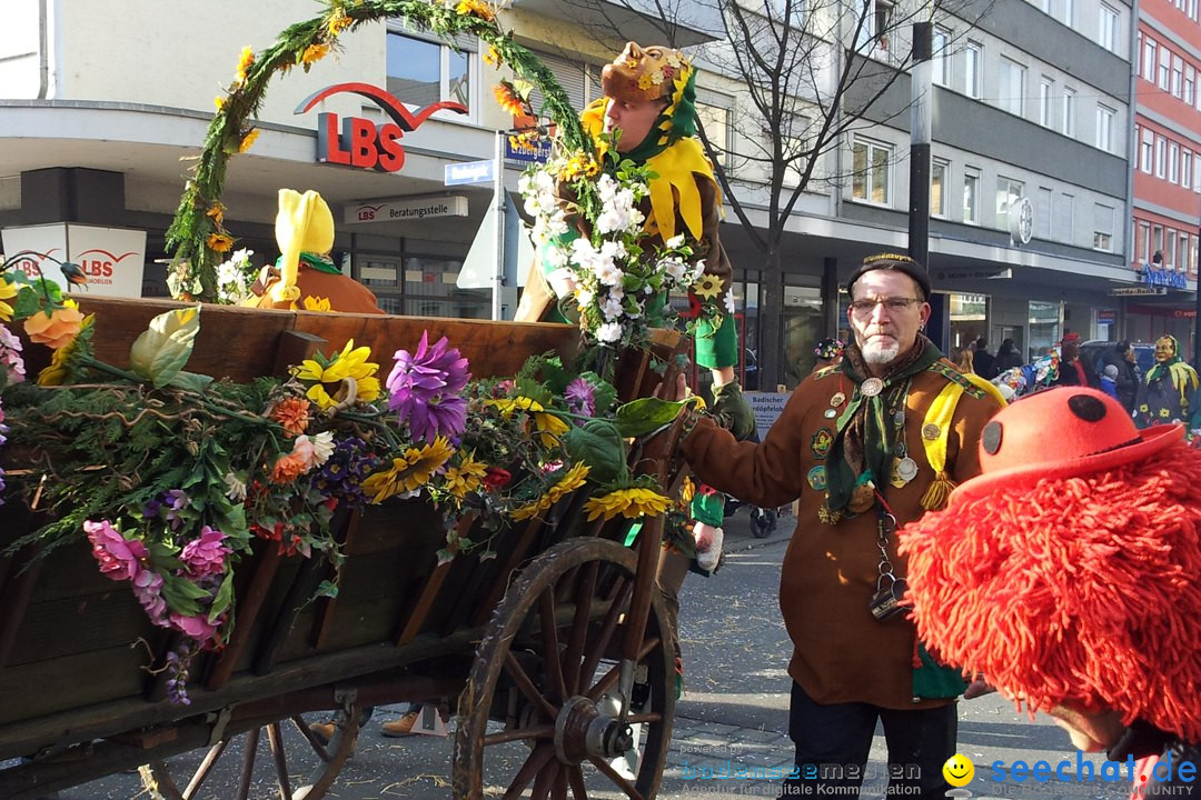 Fasnetsumzug mit Poppele Zunft: Singen am Bodensee, 14.02.2015