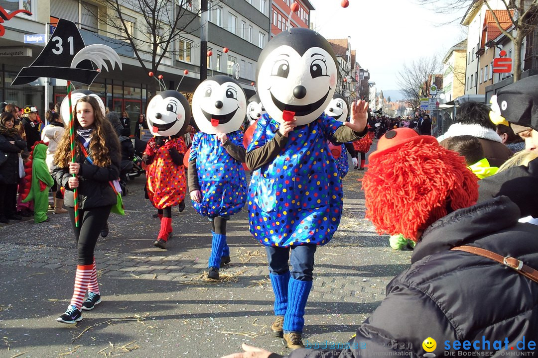 Fasnetsumzug mit Poppele Zunft: Singen am Bodensee, 14.02.2015