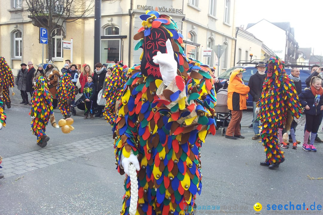 Fasnetsumzug mit Poppele Zunft: Singen am Bodensee, 14.02.2015