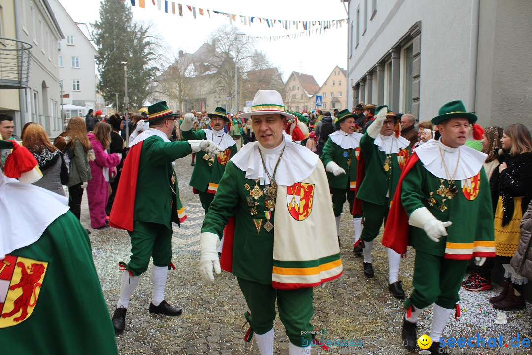 Rosenmontags-Umzug: Messkirch am Bodensee, 16.02.2015